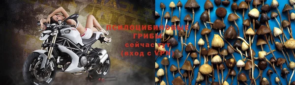 ALPHA-PVP Пестово
