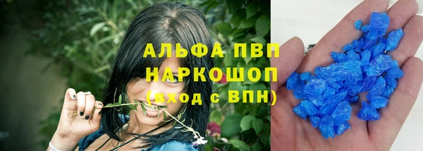 a pvp Пересвет