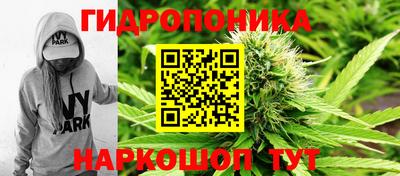 амф Обнинск