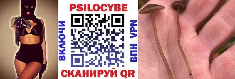 Галлюциногенные грибы Cubensis  закладки  kraken онион  Сосновый Бор 