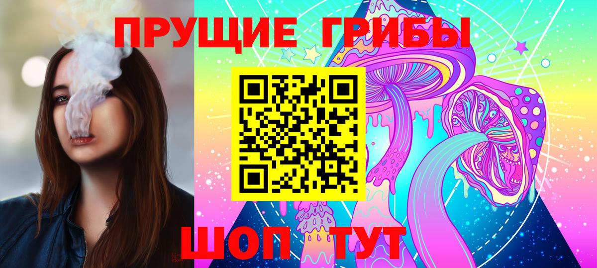 Галлюциногенные грибы Psilocybe  Вход с VPN  Сосновый Бор 