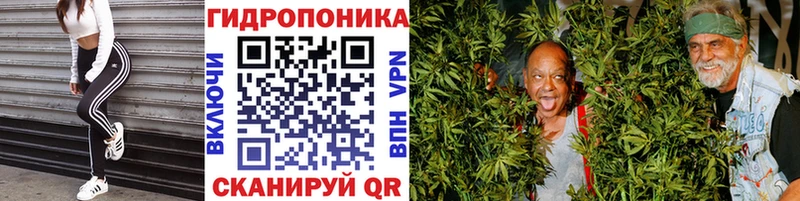 где найти наркотики  Сосновый Бор  Каннабис Bruce Banner 