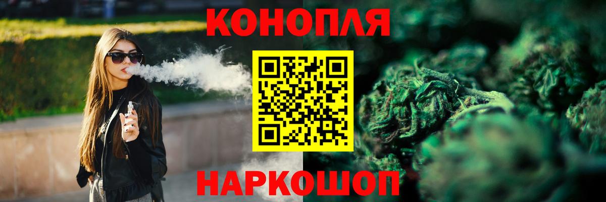 МЕФ Сосновый Бор